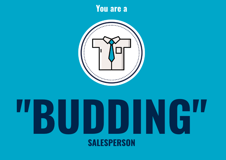Budding salesperson results